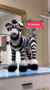 Köpekleri boyama çılgınlığı büyüyor! Güzellik mi, sağlık riski mi?