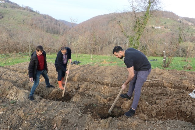 Samsun OMÜ'den garantili kestane üretimi yöntemi