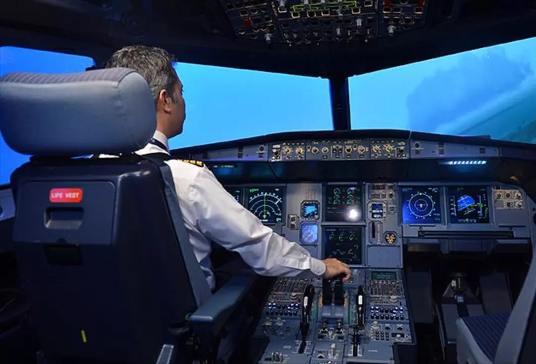 İngilizce bilen üniversite öğrencilerine büyük müjde: ‘’Yüksek gelir ve özgürlük hakkı çok iyi’’