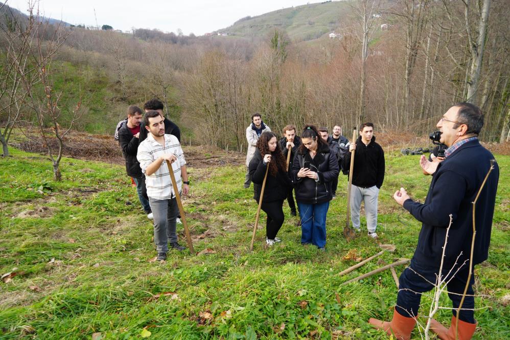Samsun'da 500 bitkiden sadece 35'i sağlam kaldı