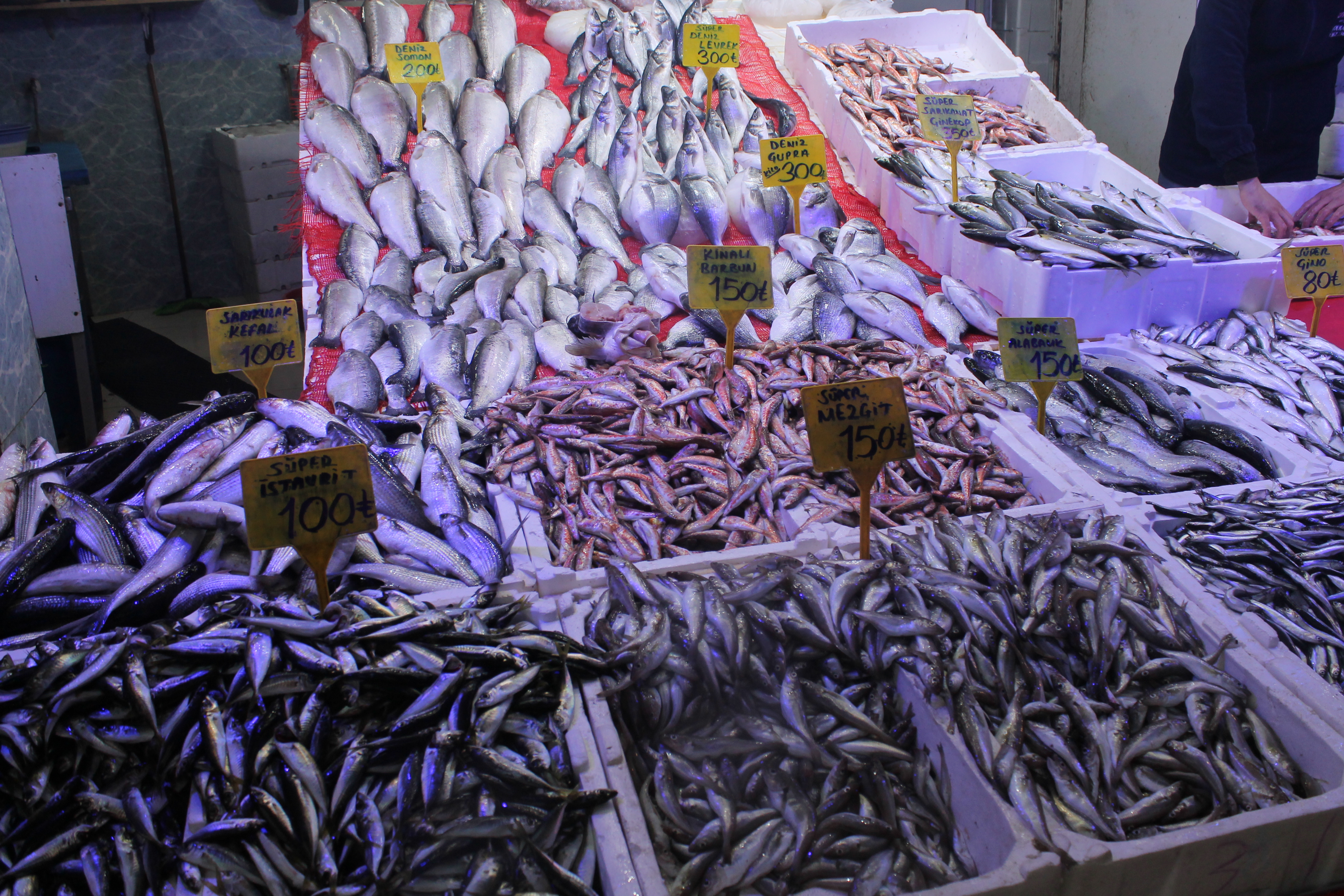 Samsun'da yılbaşına özel balık fiyatları! 