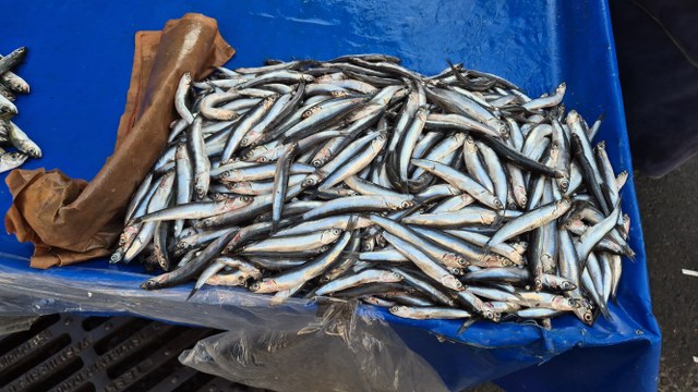 Seyyar balıkçıdan mesaj var! Yılbaşında hindi değil balık yiyin