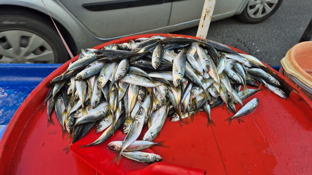 Seyyar balıkçıdan mesaj var! Yılbaşında hindi değil balık yiyin
