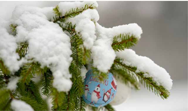 Uzmanı açıkladı! Yılbaşında hava nasıl olacak?