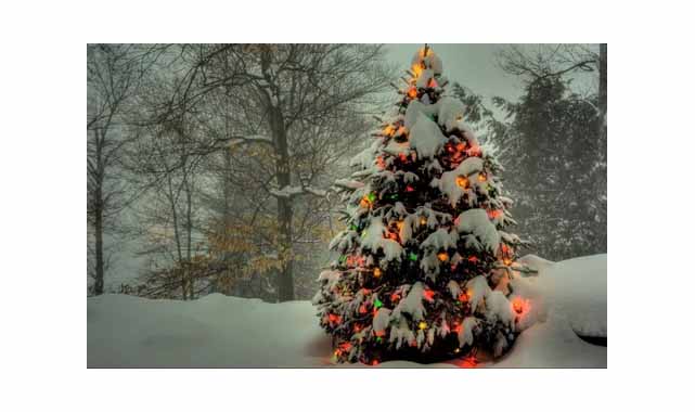 Uzmanı açıkladı! Yılbaşında hava nasıl olacak?