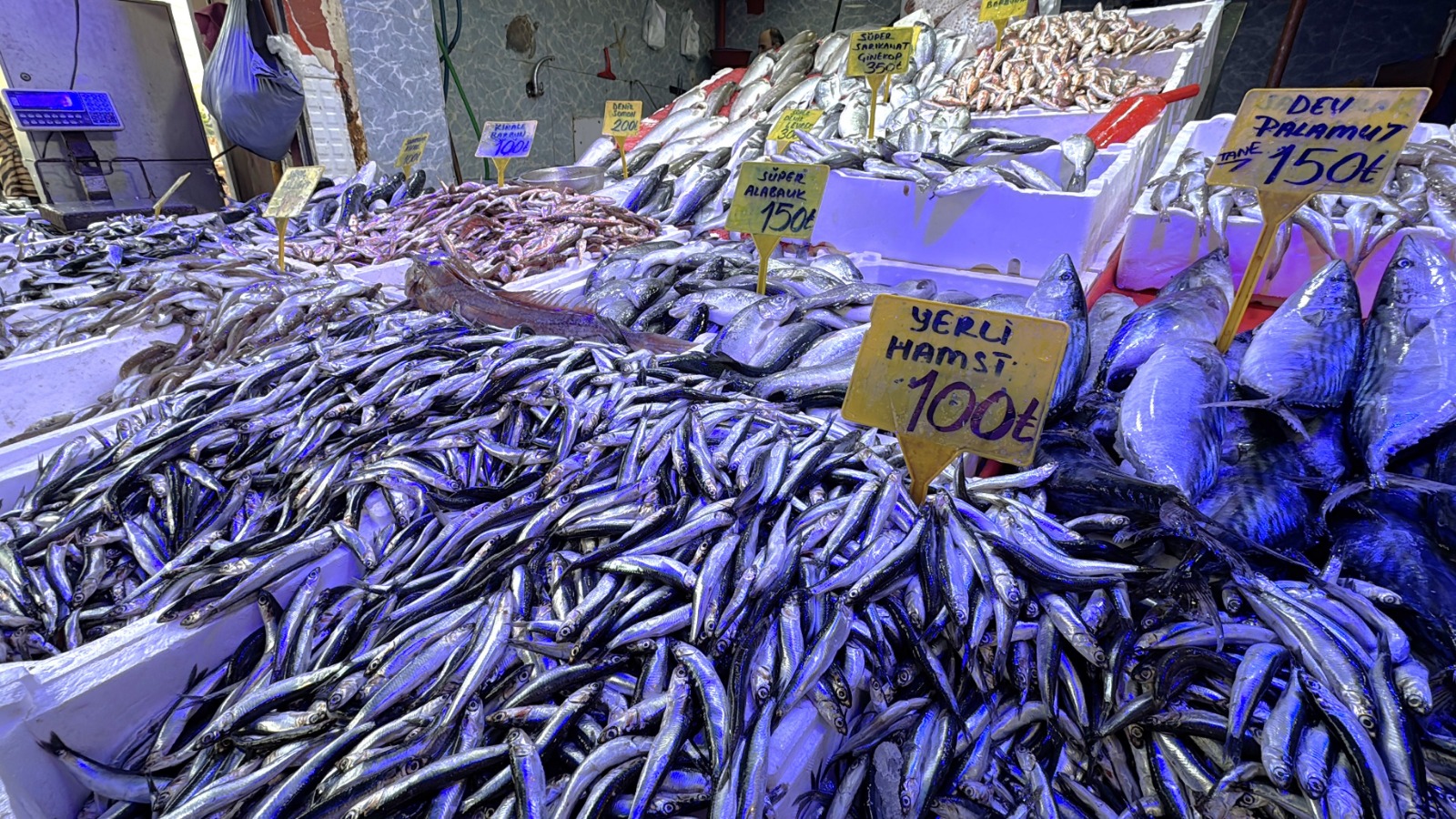 Samsun’da balıkçılardan yılbaşına özel indirim