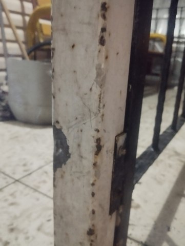 Ankara'da otobüs durağında silahlı saldırı