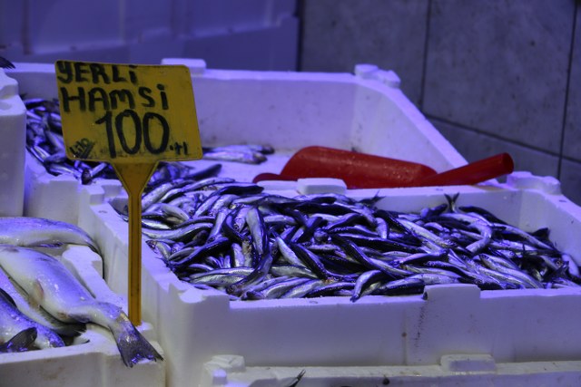 Samsun'da balık tezgahlarında çeşit arttı