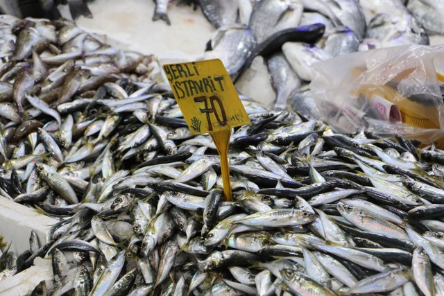 Samsun'da balık tezgahlarında çeşit arttı