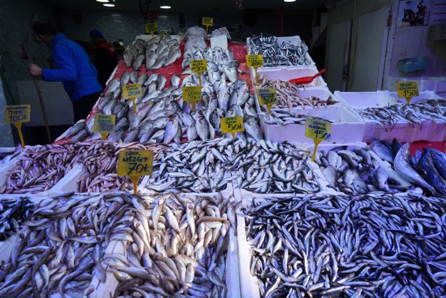 Samsun'da hamsi satış sırasını kaptırmıyor