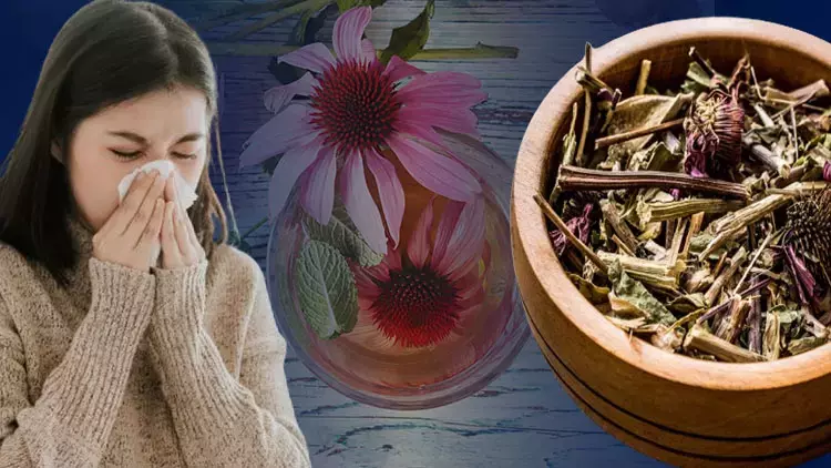 Soğuk algınlığı için doğal çözümler! Soğuk algınlığında hangi gıdalar faydalı?