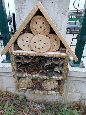 Tekkeköy'de öğrencilerden "Böcek Oteli"