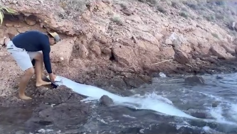 Kartalkaya'daki yangın ve kıyamet balığı: Felaketler zinciri devam ediyor mu?