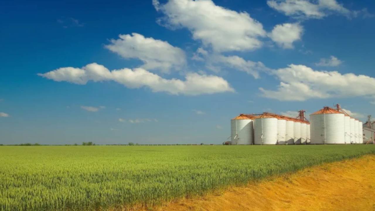 Türk tarım devi konkordato sonrası iflas etti