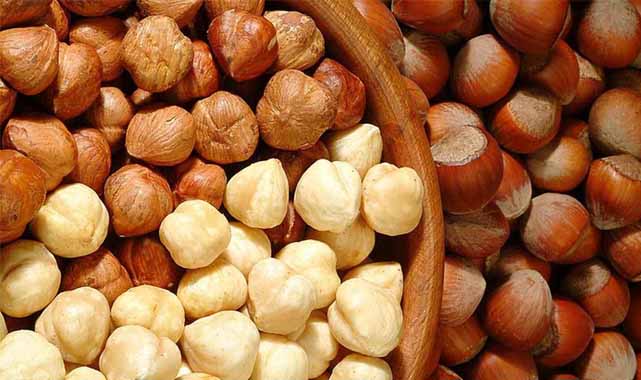 22 Ocak fındık fiyatları ne kadar?