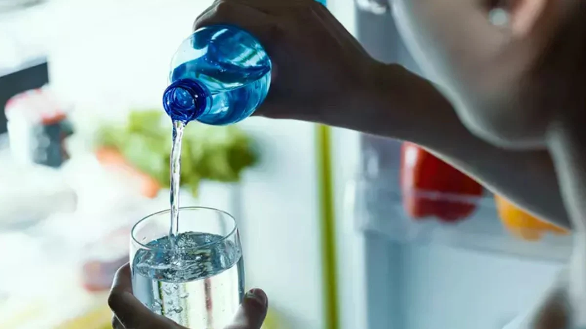 Plastik şişe kullanmak, sağlığa büyük tehlike: Kanserden kalp hastalıklarına