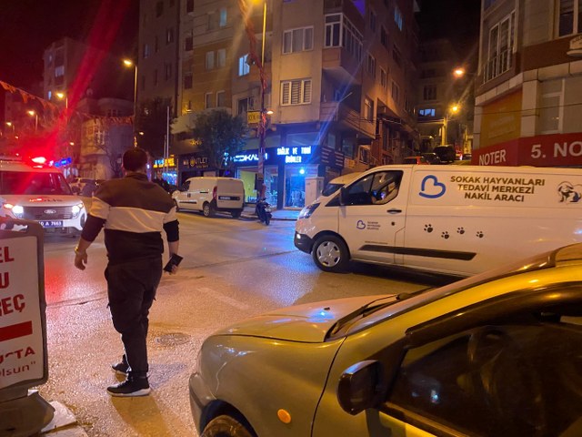 Sahibinin elinden kurtulan pitbull dehşet saçtı!