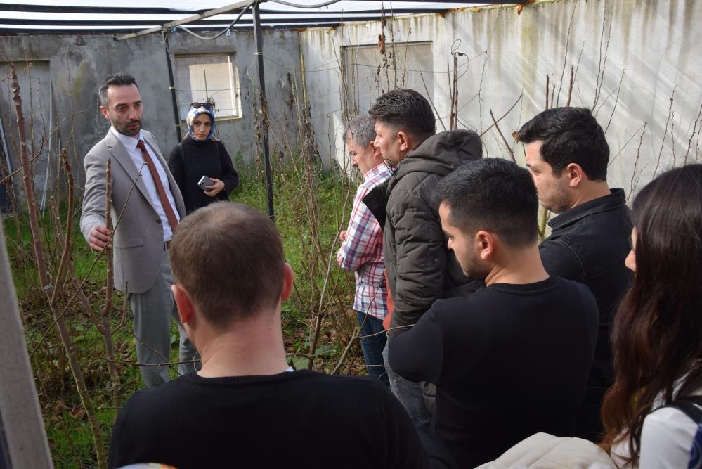 Samsun'da kahverengi kokarca ile mücadelede kritik dönem uyarısı