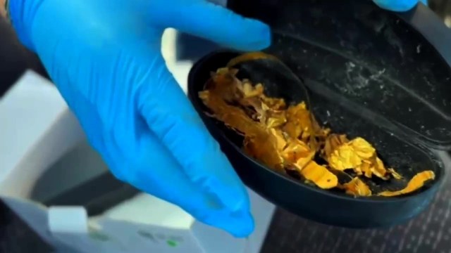 2 bin yıllık kral tacını satmaya çalışırken yakayı ele verdiler