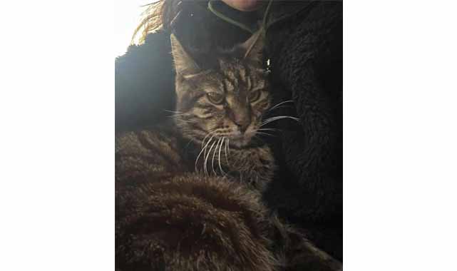 Binnur Kaya'nın acı günü!