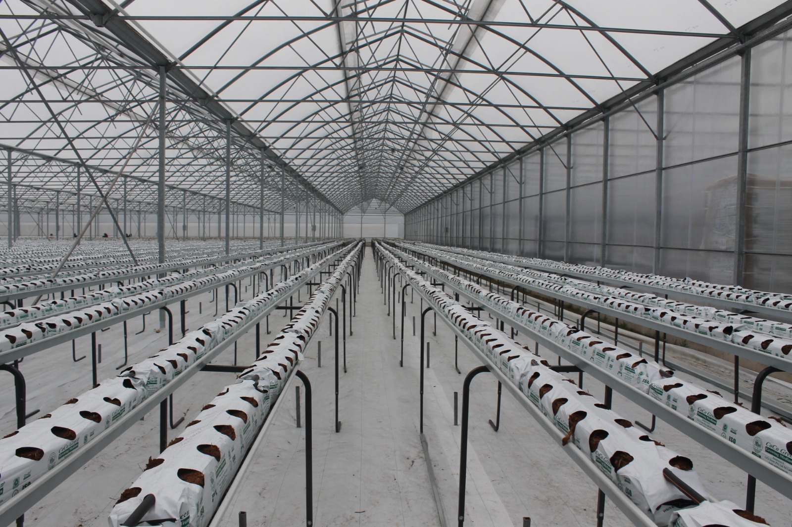 Samsun'un Bafra ilçesinde Sera OSB'de üretim başladı