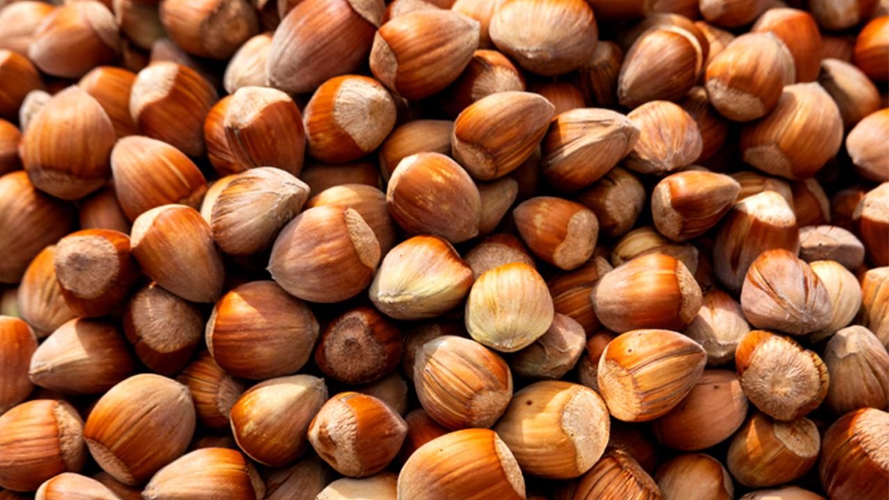 Fındık fiyatları tekrar yükselişe geçti!