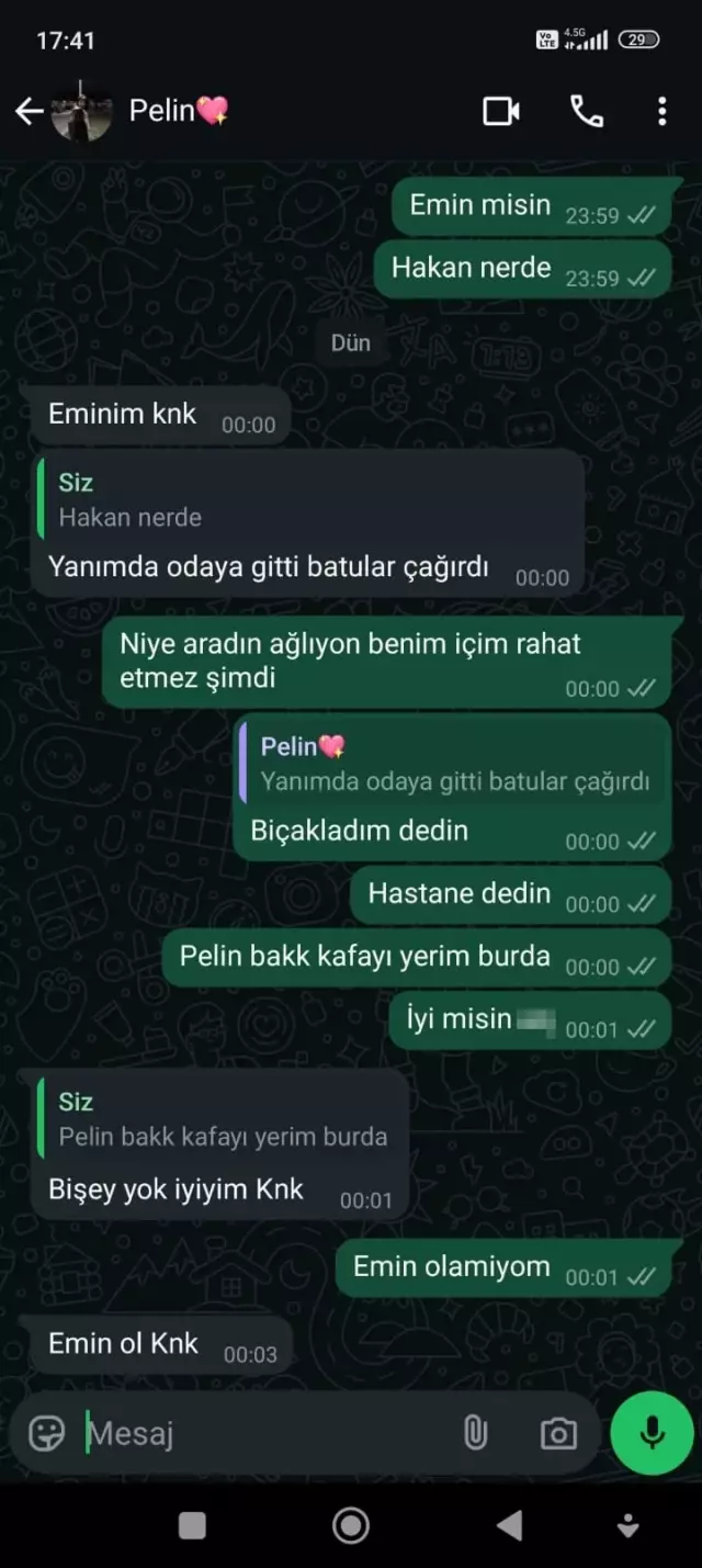 Genç kızın cinayet sonrası şok eden mesajları ortaya çıktı!