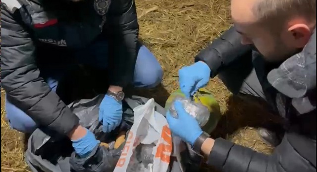 Samsun'da tavuk kümesinde uyuşturucu ve silah ele geçirildi