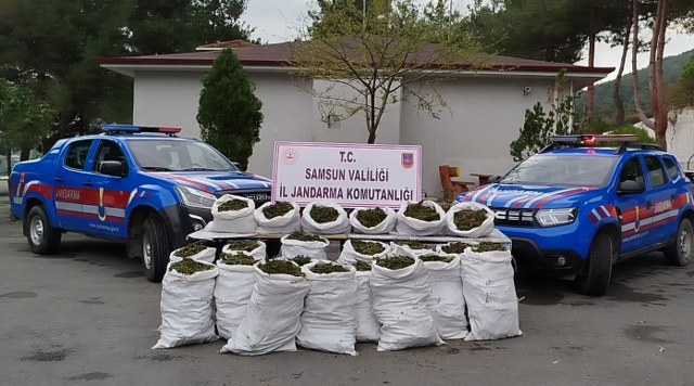 Samsun Bafra'da 146 kilo uyuşturucu ile yakalanan şahsa 19 yıl hapis cezası