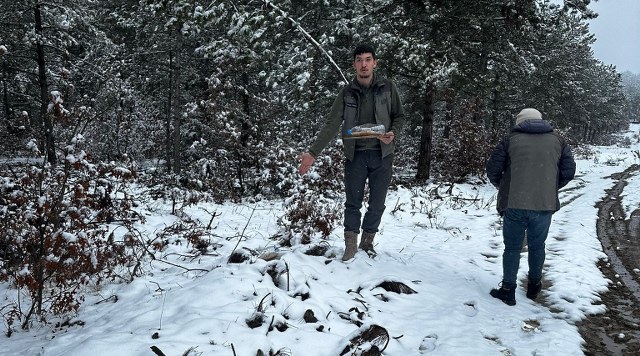Samsun'da Vezirköprülü avcılar yaban hayvanlarını unutmadı