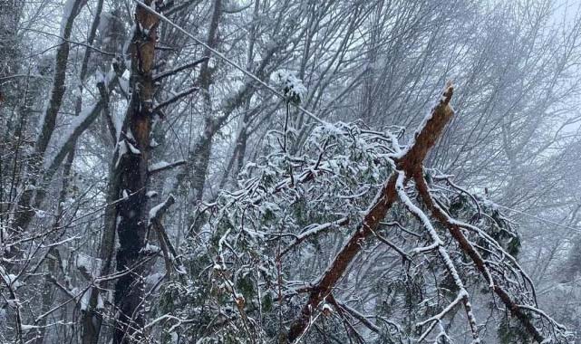 Samsun'da 1 metre karda arızalara müdahale