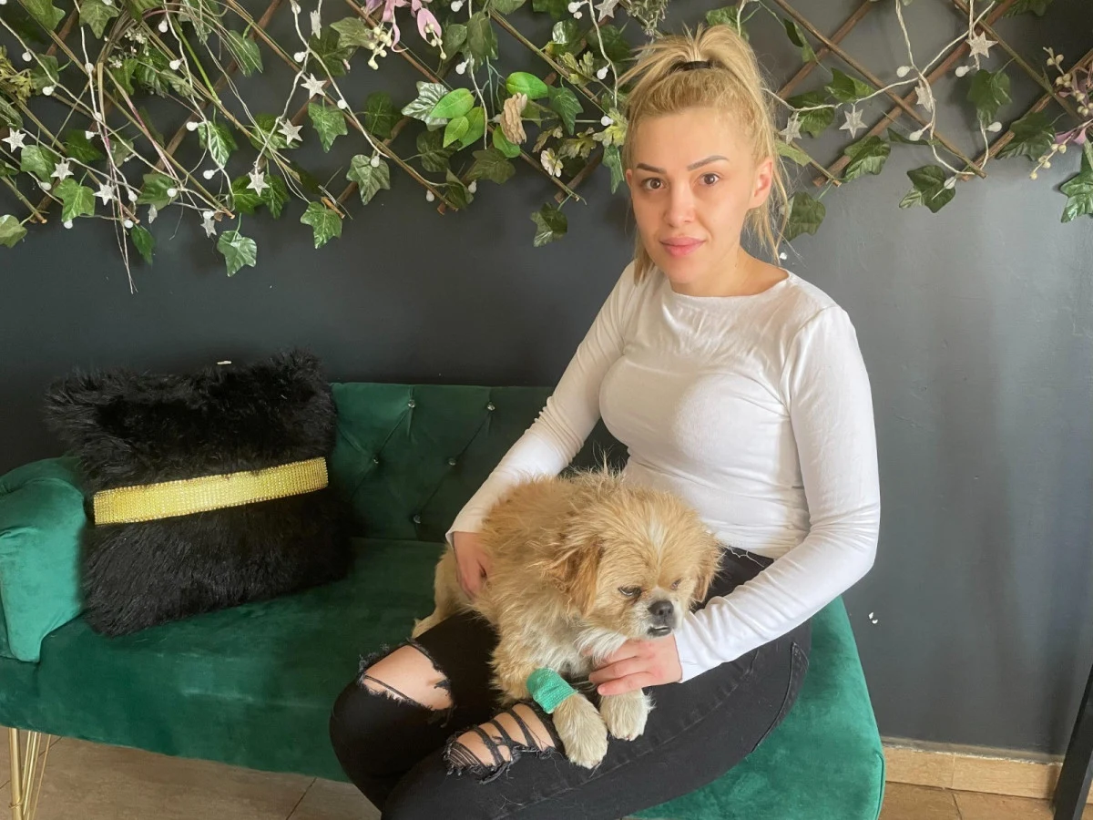 Kan donduran olay! Köpeğin ayağını bağlayıp çöpe attı