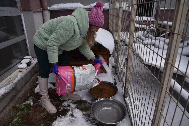 Samsun'da üniversite öğrencileri sahipsiz hayvanlarI sahipsiz bırakmadı