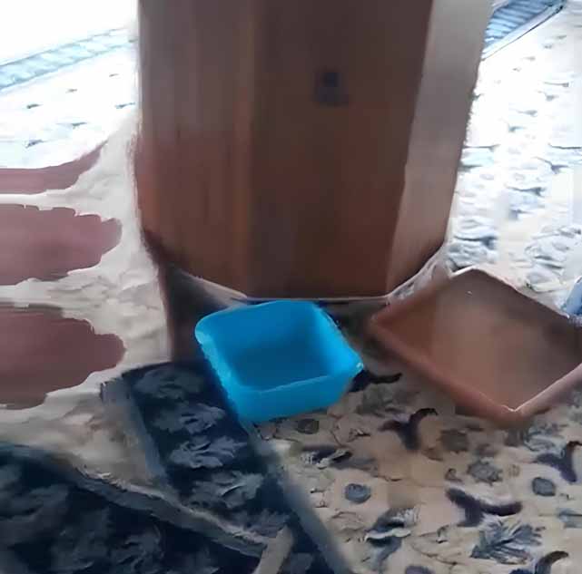 Samsun'da Söğütlübahçe Camii’nde ramazanda cami isyanı