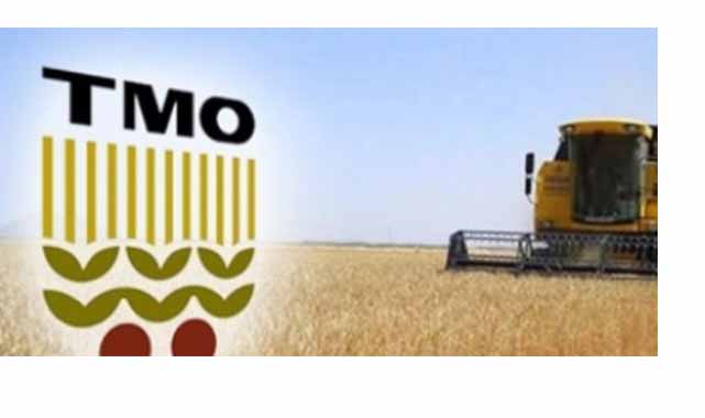 KİT 45 kamu kurumunun hesapları inceleyecek