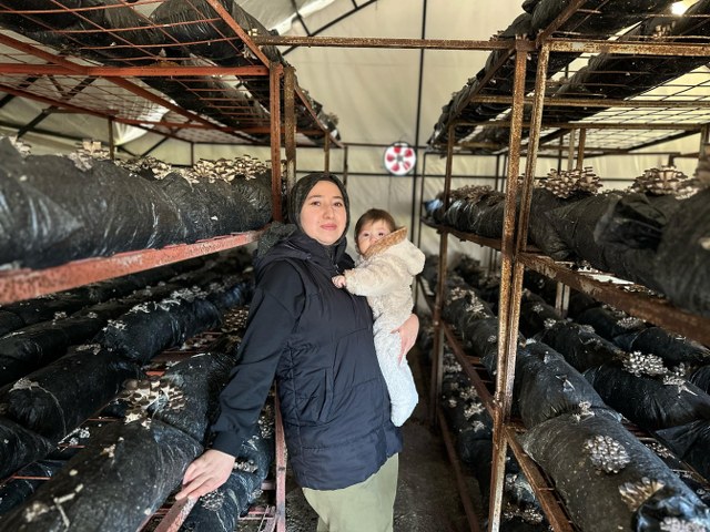 Samsun'da bodrumda başladığı mantar üretiminde şimdi taleplere yetişemiyor