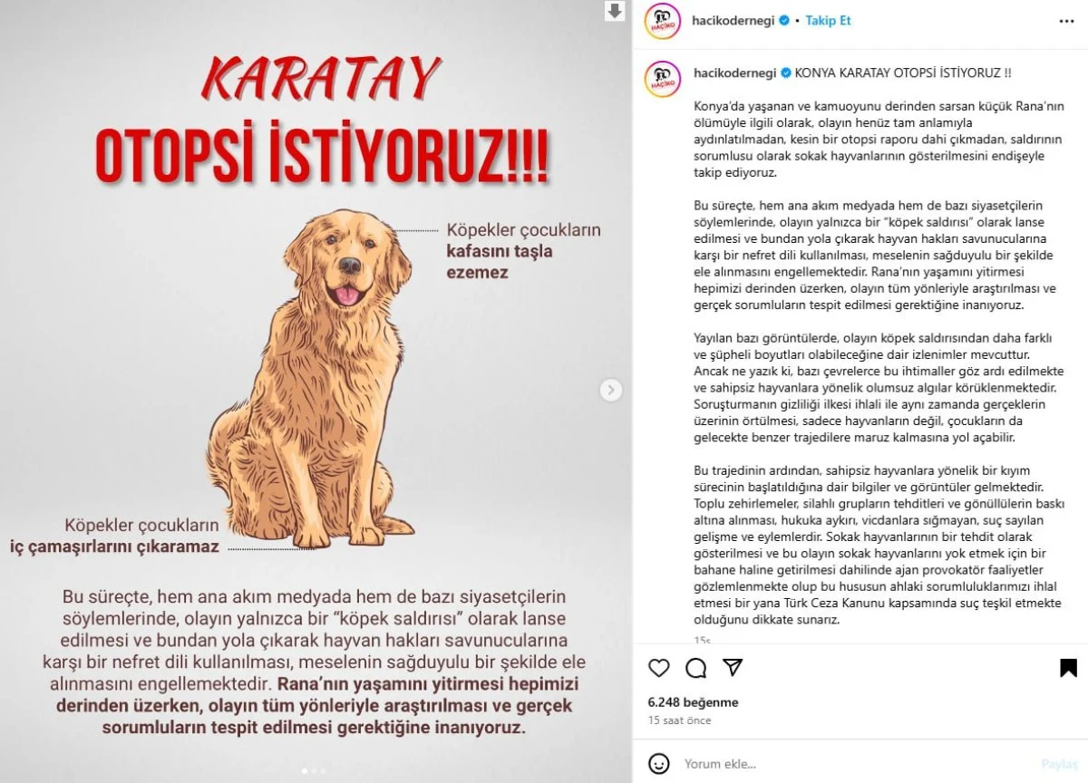 Konya'da köpeklerin saldırdığı 2 yaşındaki Rana'nın otopsi sonucu çıktı! İşte ölüm nedeni