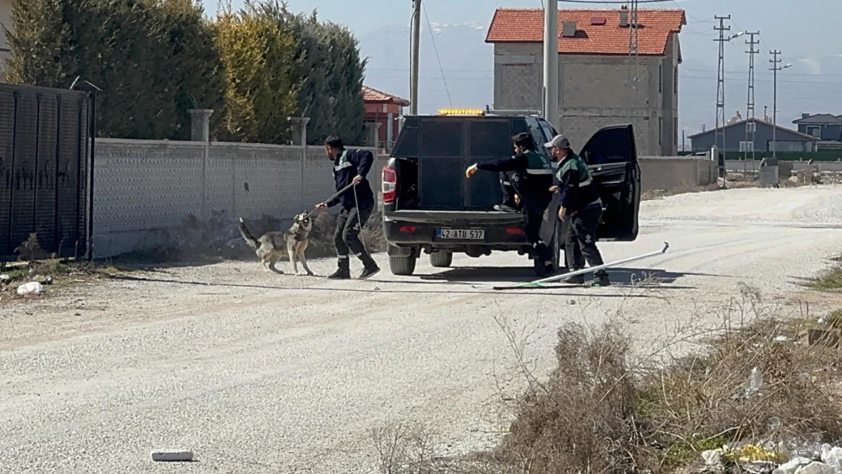 Konya'da köpeklerin saldırdığı 2 yaşındaki Rana'nın otopsi sonucu çıktı! İşte ölüm nedeni