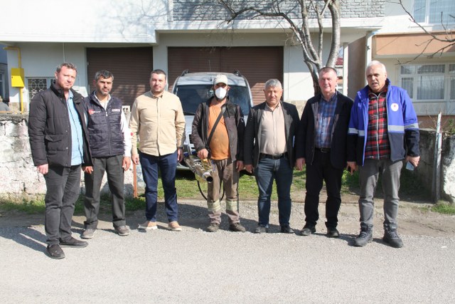 Samsun Çarşamba’da kahverengi kokarca ile mücadele