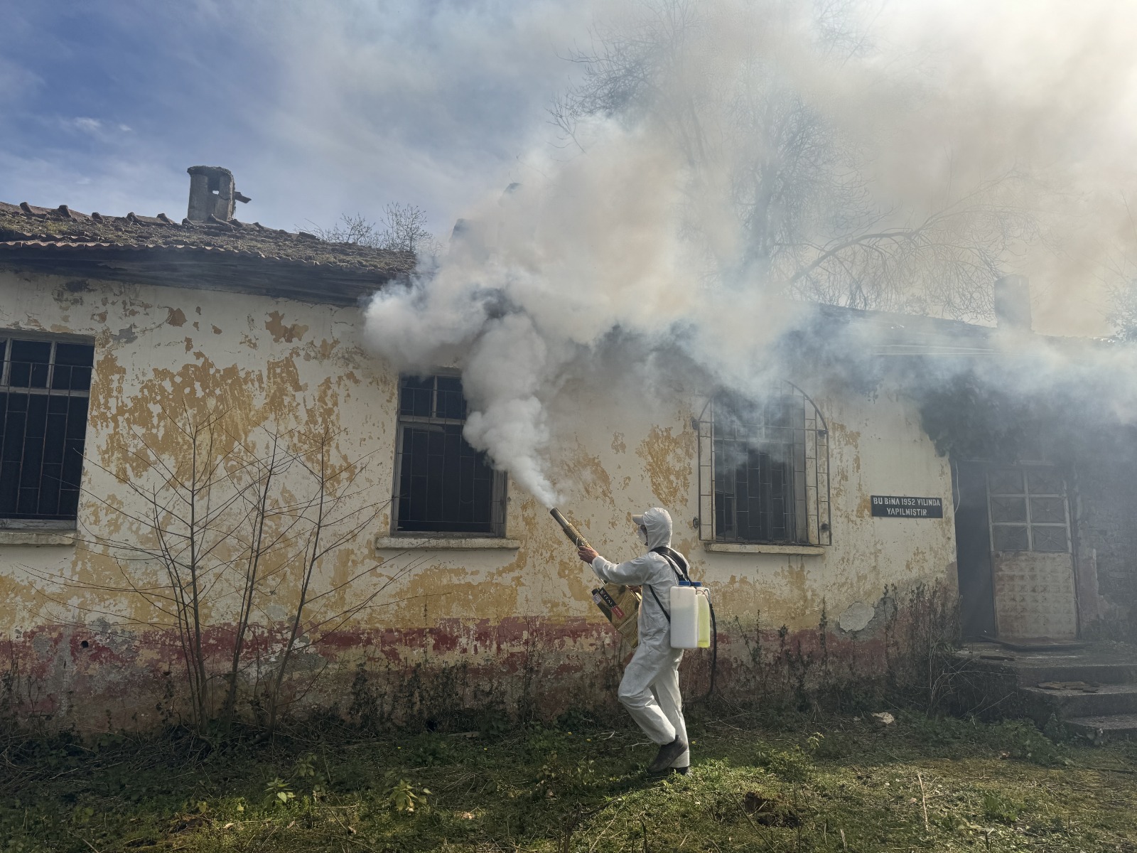 Samsun’da Kahverengi Kokarca mücadelesi hız kesmeden devam ediyor!