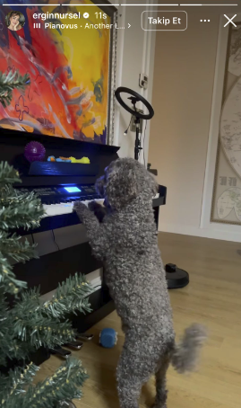 Öldüğü iddia edilen ‘Gelinim Mutfakta’ sunucusu Nursel Ergin’den sosyal medya paylaşımı!