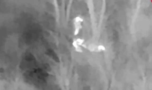 İçişleri Bakanı Yerlikaya duyurdu!  25 şüpheli sınır bölgesinde yakalandı