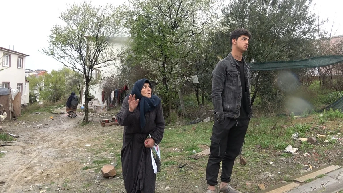 Yalova’da sokak köpeği 5 yaşındaki çocuğa saldırdı! Boğazından yaraladı, durumu ağır