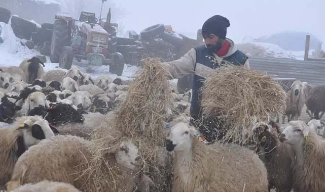 Ayda 50 bin TL teklif ediyorlar ama işçi bulamıyorlar