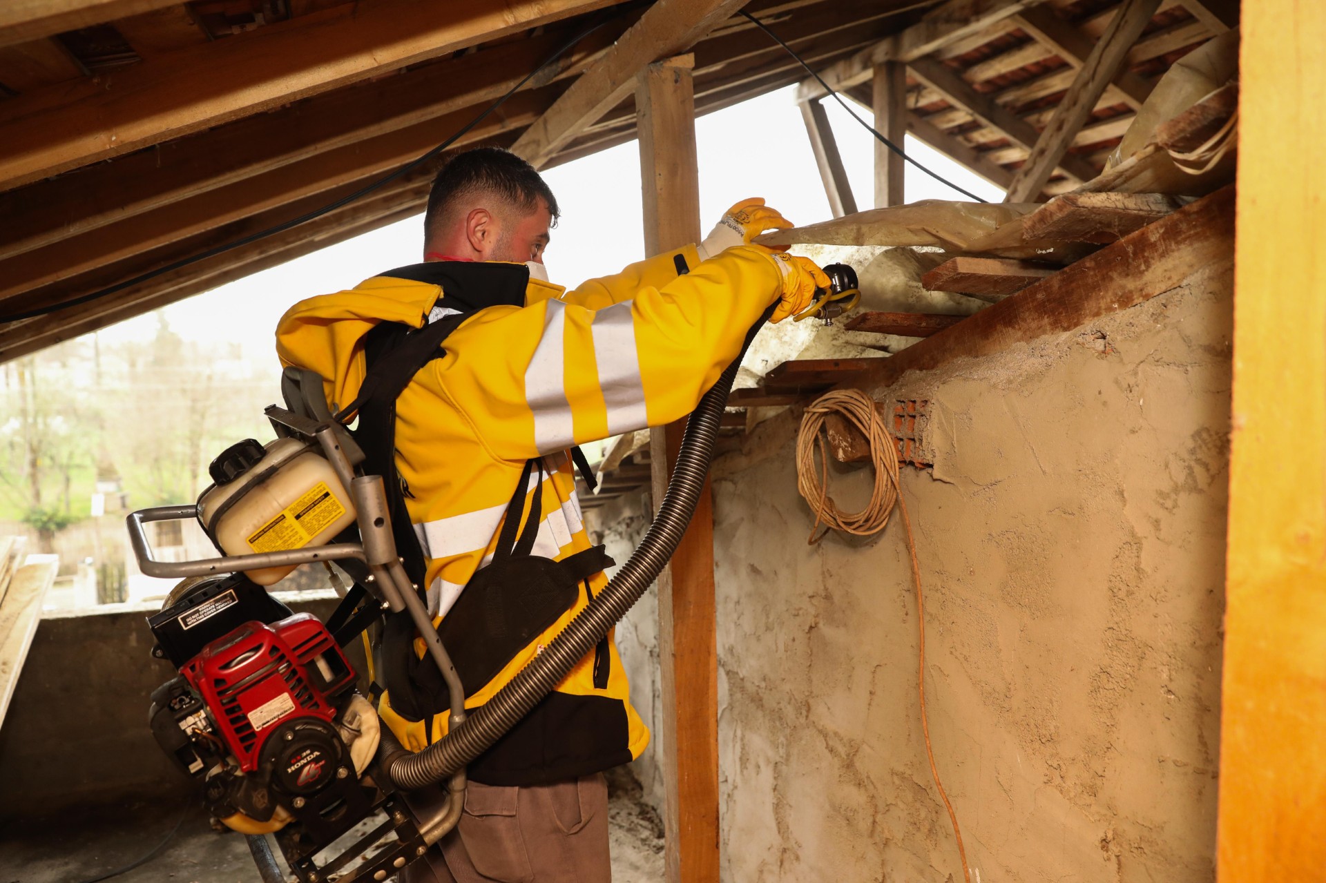 Samsun Büyükşehir kahverengi kokarca ile mücadele ediyor