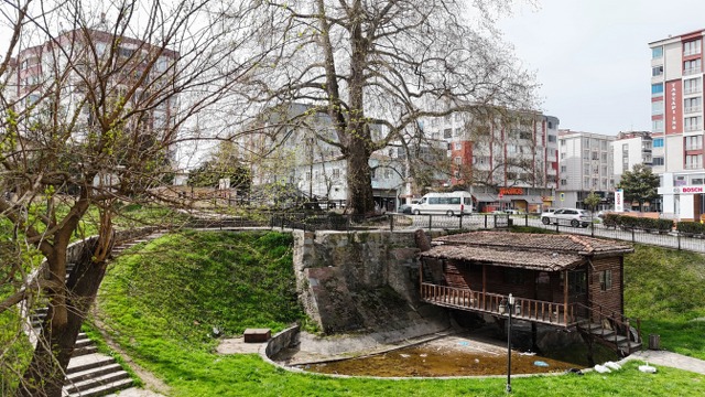 Samsun'da 6 asırlık ağaç ve değirmen Çarşamba'yı güzelleştiriyor
