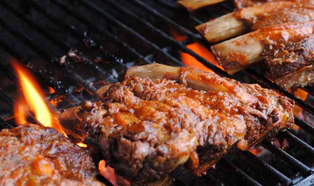 Samsun'da piknik kabusa döndü! Mangallarını motor yağıyla tutuşturan gençler zehirlendi! Durumları ağır