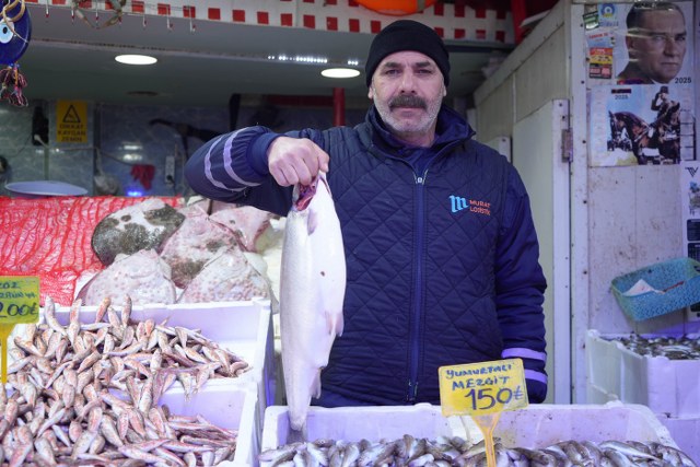 Samsun'da sezonun son balıkları görücüye çıktı! Yetişen alıyor