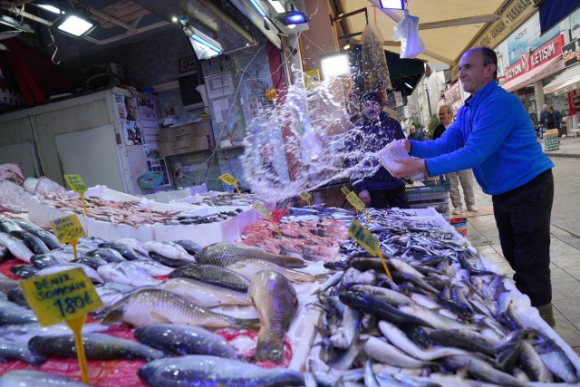 Samsun'da sezonun son balıkları görücüye çıktı! Yetişen alıyor