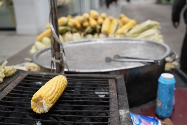 Samsun'da erkenci süt mısır satışa sunuldu